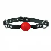 Кляпы, ошейники hidden desire