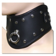 Кляпы, ошейники spade