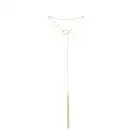 Цепочка для тела Bijoux Indiscrets Magnifique Tickler Pendant Chain - Gold, украшение для тела photo 2